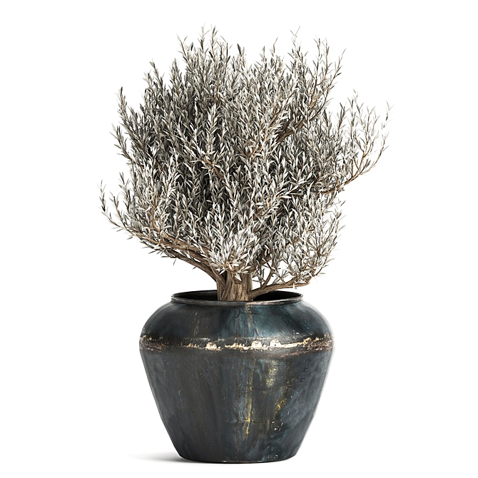 Tropical Plant Collection: Olive, Hovewa Palm, Metal Pot 3D model image 4