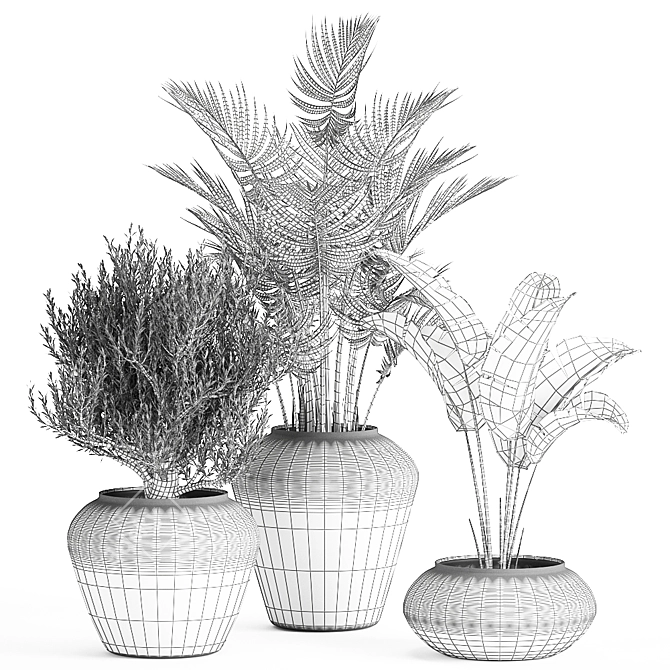 Tropical Plant Collection: Olive, Hovewa Palm, Metal Pot 3D model image 5