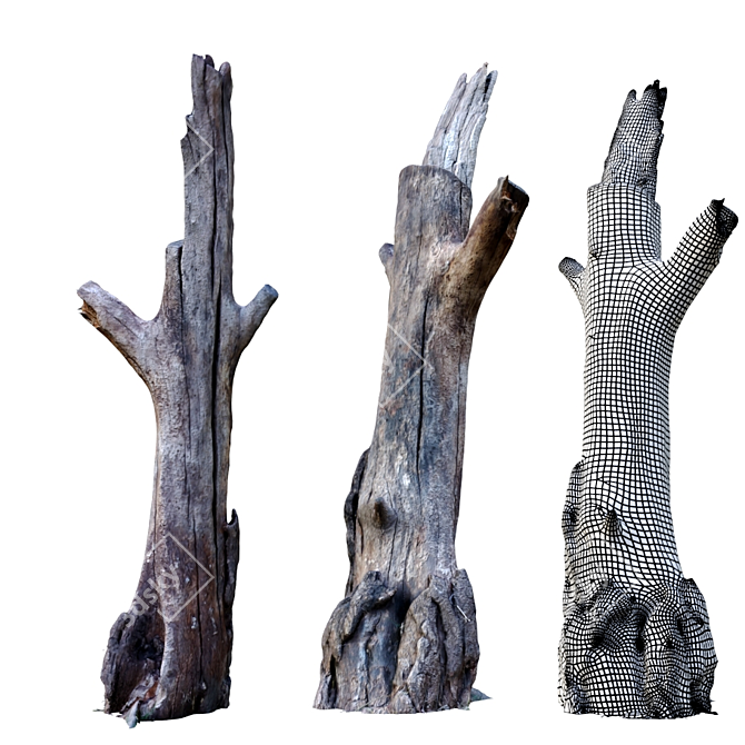 Natural Wood Tree Stump Set 3D model image 5