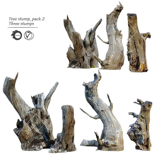 Natural Wood Tree Stump Set 3D model image 1