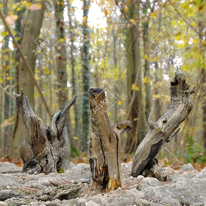 Natural Wood Tree Stump Set 3D model image 2