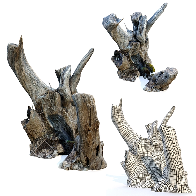 Natural Wood Tree Stump Set 3D model image 3
