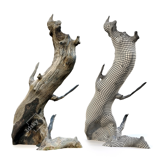 Natural Wood Tree Stump Set 3D model image 4