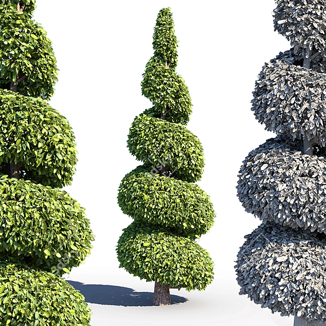 Landscaping Bushes Pack: 5 Versatile Shapes 3D model image 3