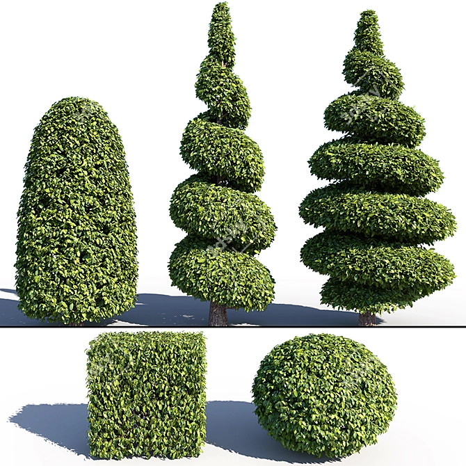 Landscaping Bushes Pack: 5 Versatile Shapes 3D model image 8