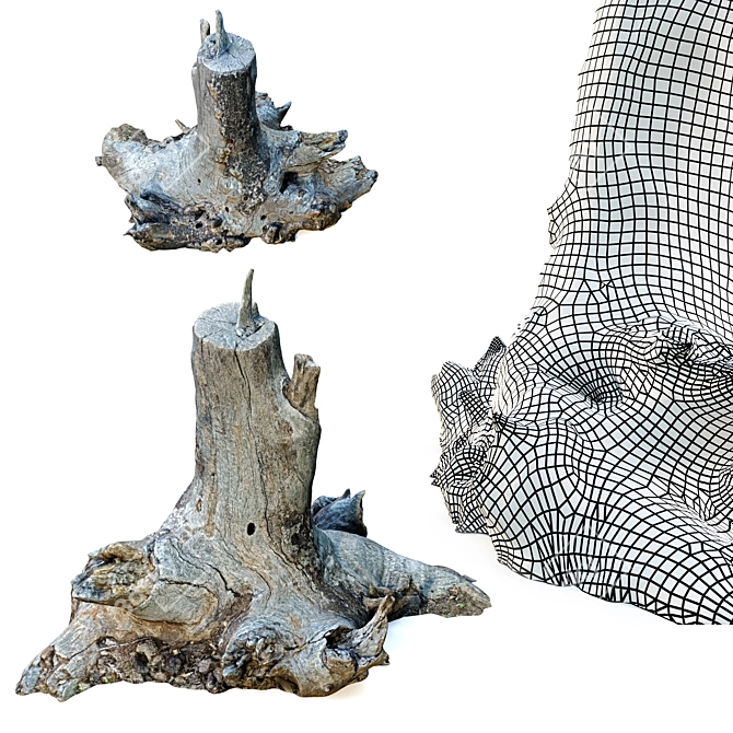 Rustic Wood Stump Trio 3D model image 3