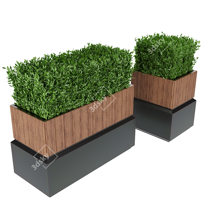 Lush Green Plant Collection Vol. 120 3D model image 2