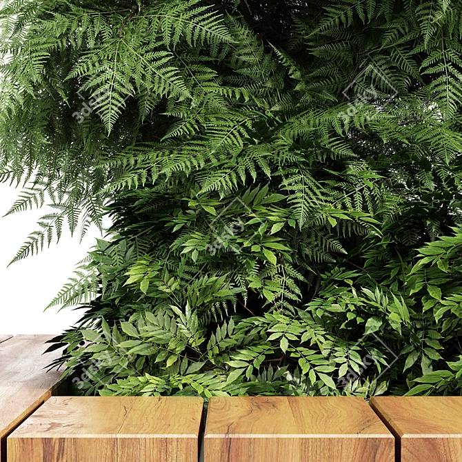 Slim Hinoki Cypress Tree - Perfect for Small Yards 3D model image 2