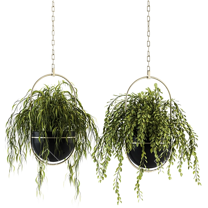 Indoor Oasis: Hanging Plant Set 3D model image 1