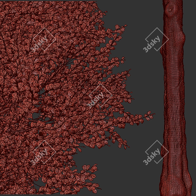 European Aspen Tree Set - Quaking Aspen, Populus Tremula 3D model image 5