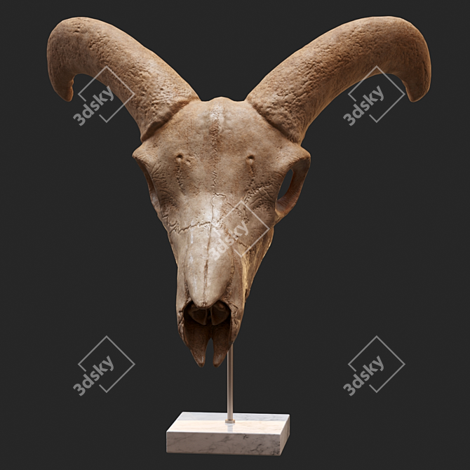 Eerie Goat Skull Décor 3D model image 1