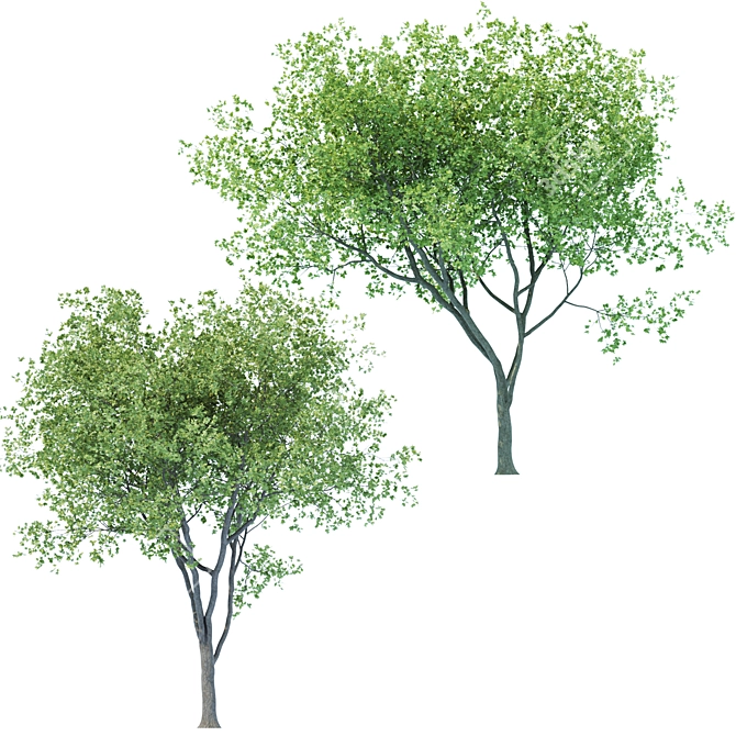 Versatile Poly Tree for Landscaping 3D model image 1