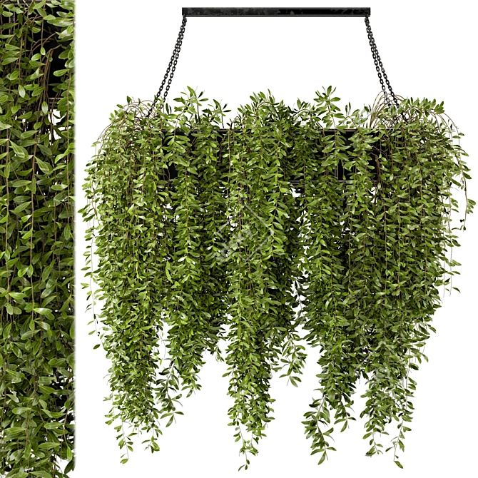 Metal Box Indoor Hanging Plants - Set 82 3D model image 1