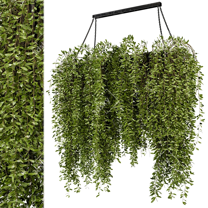 Metal Box Indoor Hanging Plants - Set 82 3D model image 2