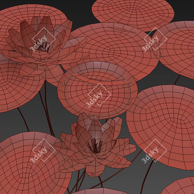 Nymphaeaceae Water Lily: Versatile Aquatic Perfection 3D model image 4