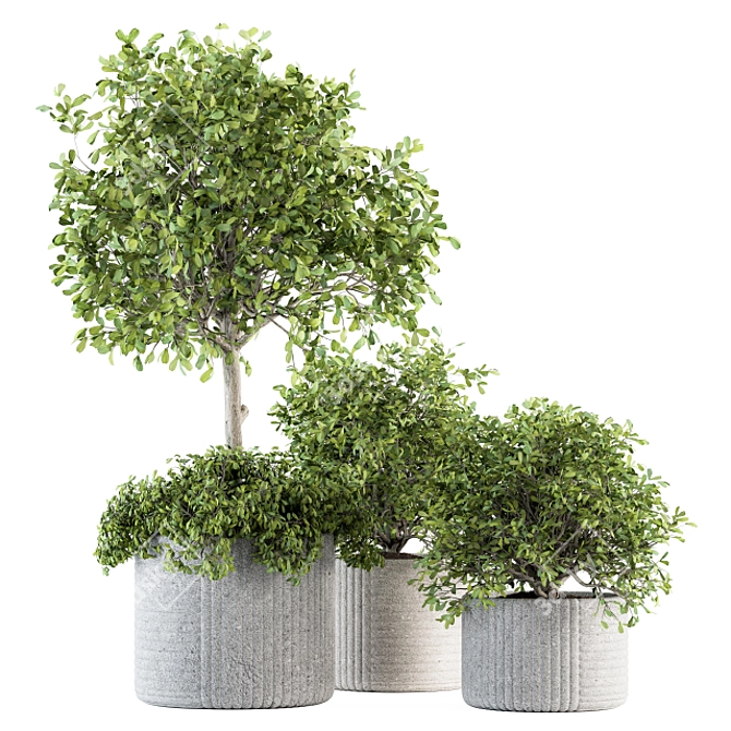 189 Indoor Plant Set: Tree in Pot 3D model image 1