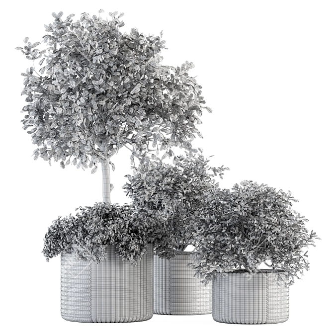 189 Indoor Plant Set: Tree in Pot 3D model image 5