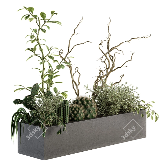 Lush Greenery Box - Indoor Plant Set 3D model image 1
