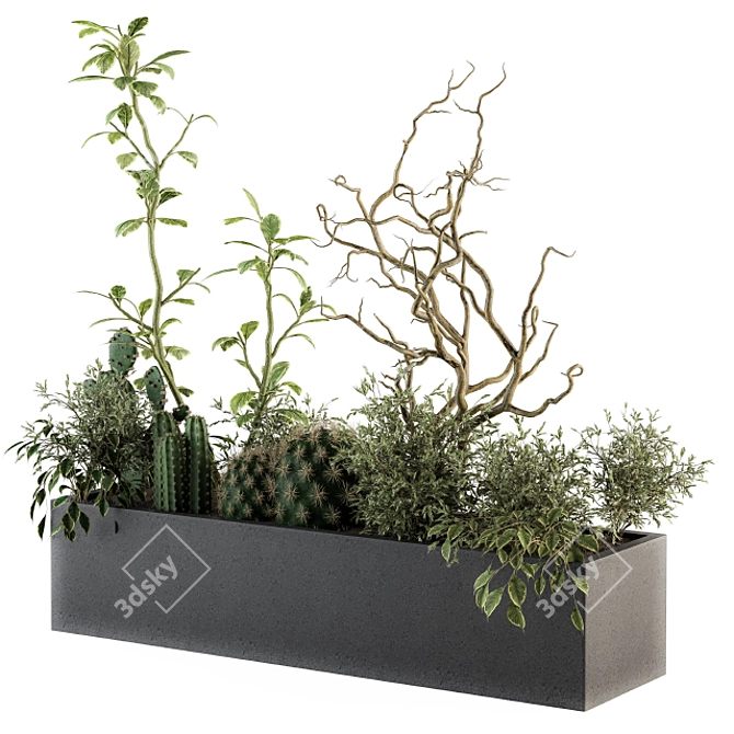  Lush Greenery Box - Indoor Plant Set 3D model image 2