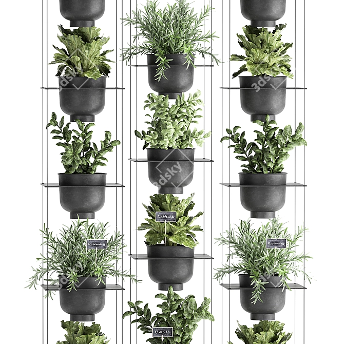 Vertical Garden Kit: Vig Planter for Kitchen Herbs 3D model image 3