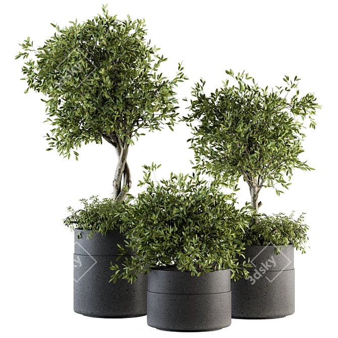 192 Indoor Plant Set - Tree in Pot 3D model image 1