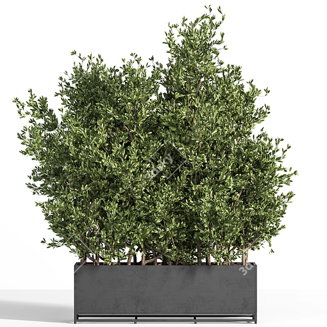 Metal Box Outdoor Tree Plant 3D model image 1