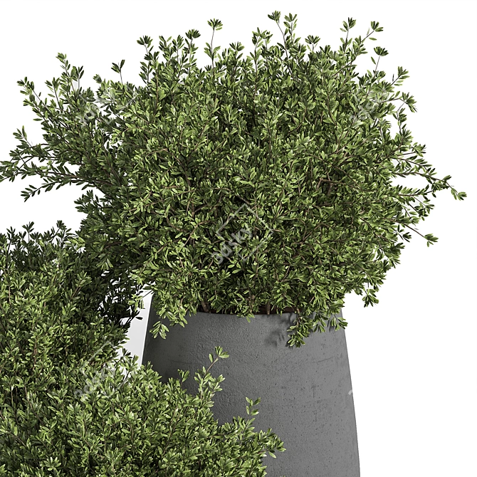 Outdoor Tree 05: Lifelike and Beautiful 3D model image 3