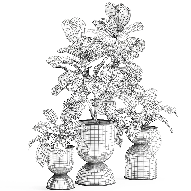 Tropical Ficus Collection: Exotic Plants for Indoor and Outdoor Decor 3D model image 5