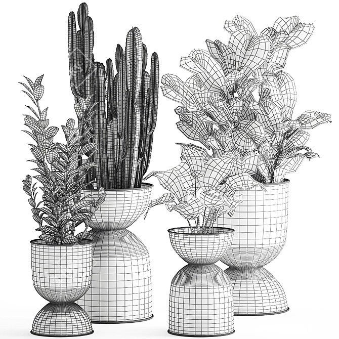 Tropical Plant Collection: Exotic Ficus, Cactus, and Zamioculcas in Stylish Black Pots 3D model image 4
