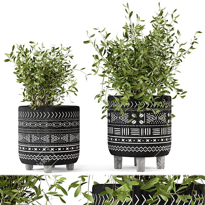 African Pattern Indoor Plants - Set 83 3D model image 1