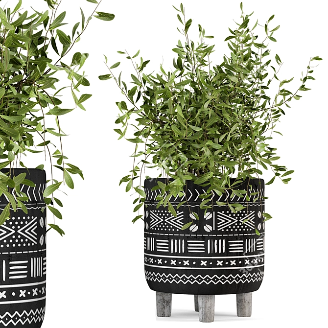 African Pattern Indoor Plants - Set 83 3D model image 2