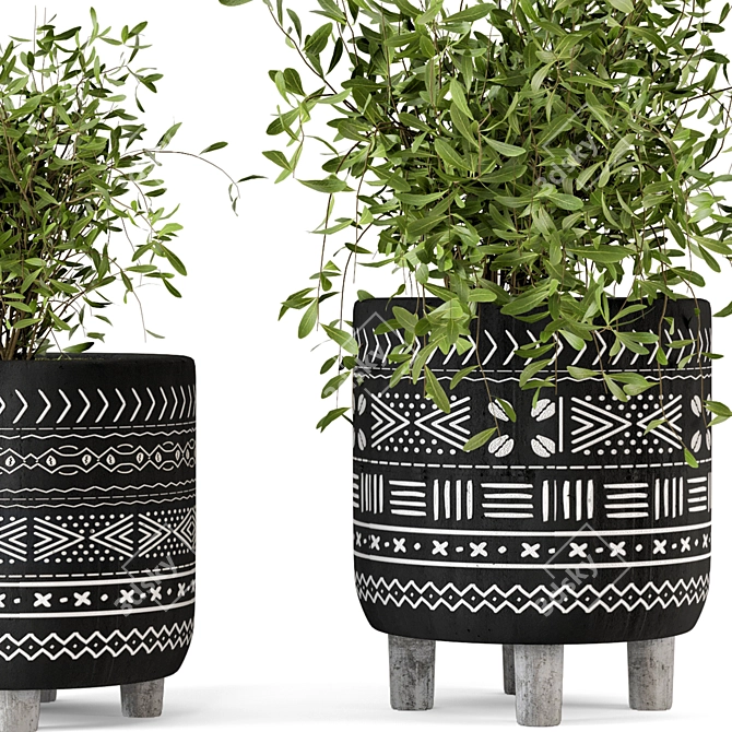 African Pattern Indoor Plants - Set 83 3D model image 3