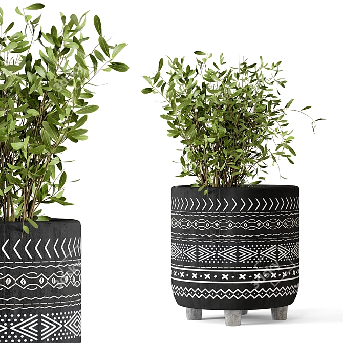 African Pattern Indoor Plants - Set 83 3D model image 4