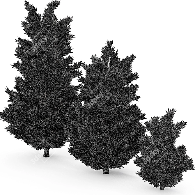 Tall Leyland Cypress Tree: 6m & 4.5m Varieties 3D model image 4