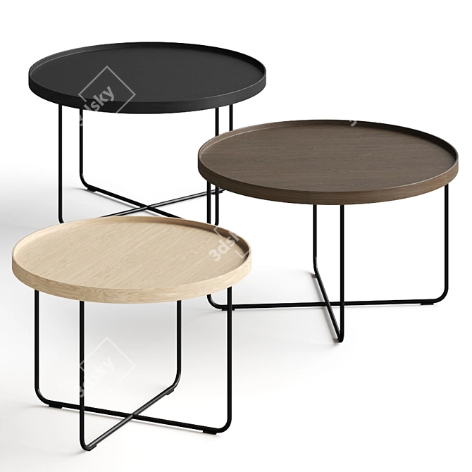 Sleek Paola Lenti Coffee Tables 3D model image 1