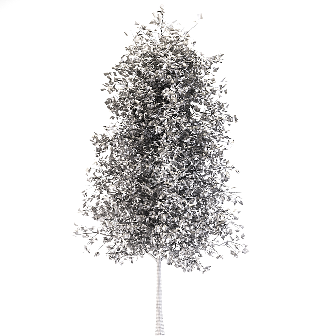 Quaking Aspen: Majestic 14M Height 3D model image 3