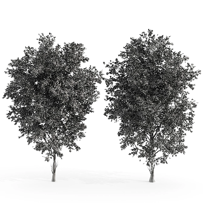 Dual Ashes: High-Poly Tree Bundle 3D model image 4