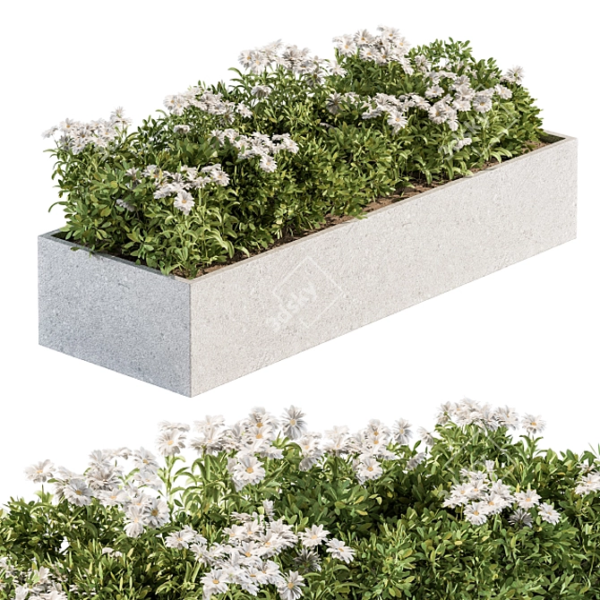 Beautiful White Flower Bush Set 3D model image 1