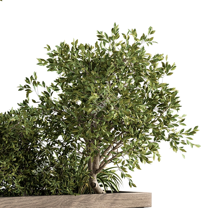 Nature's Haven Outdoor Plant Set 3D model image 2