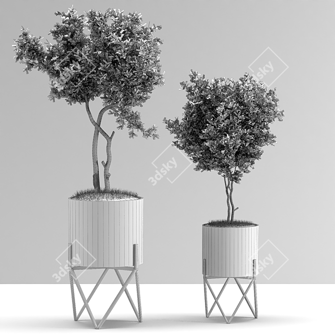 Indoor Plant VIII 3D model image 4