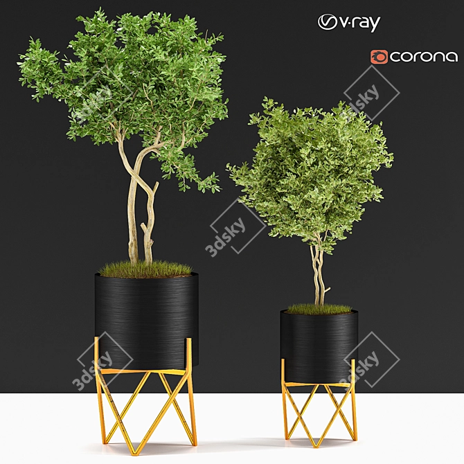 Indoor Plant VIII 3D model image 5