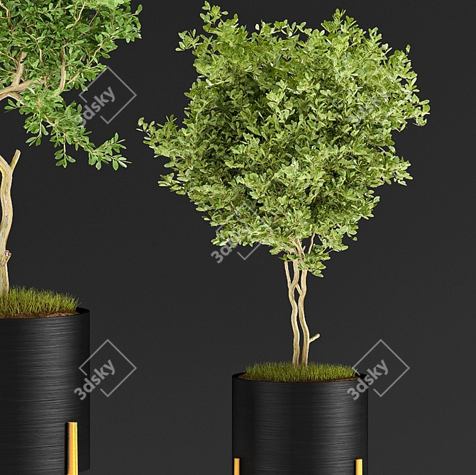 Indoor Plant VIII 3D model image 7