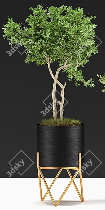 Indoor Plant VIII 3D model image 9