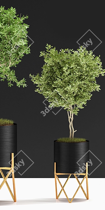 Indoor Plant VIII 3D model image 10