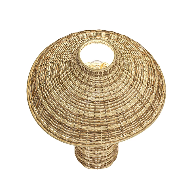 Seta Wicker Table Lamp: Rustic Elegance 3D model image 4