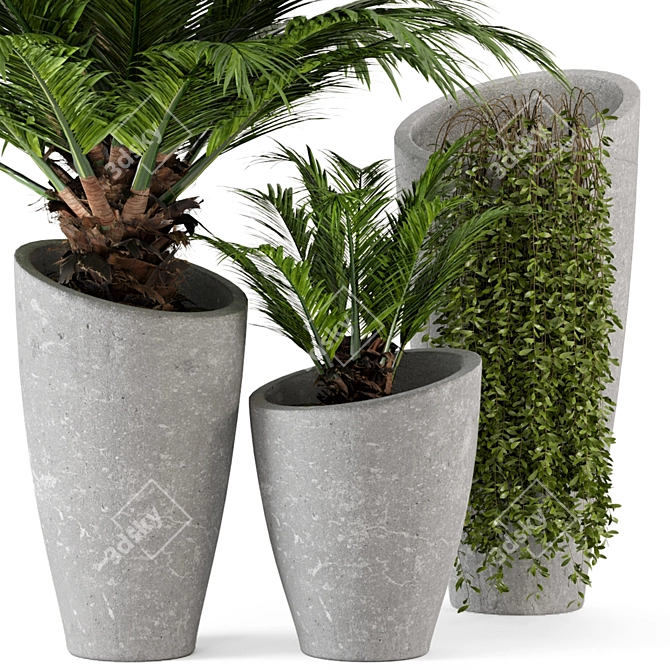 Rusty Concrete Pot Outdoor Plants 3D model image 3