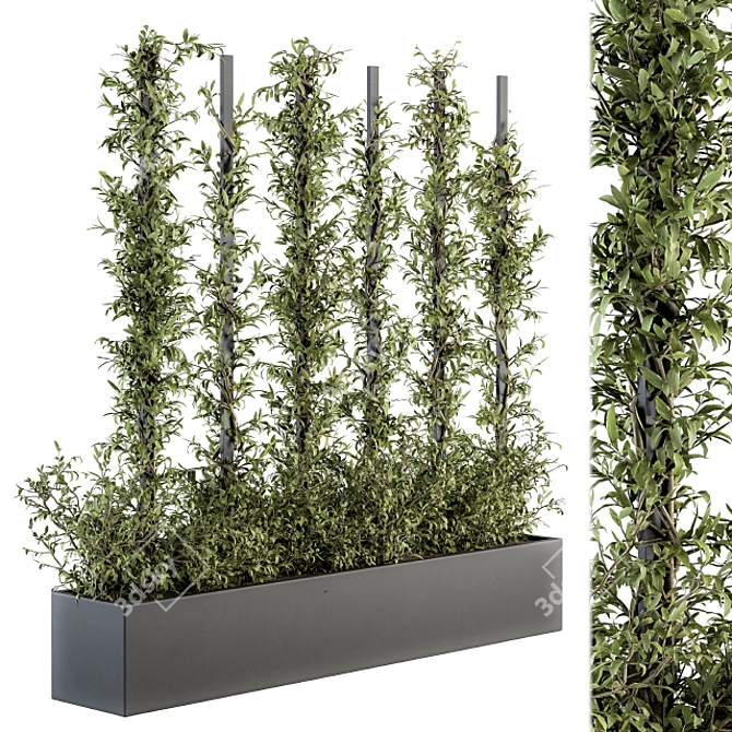 Outdoor Vertical Garden Frame: Fitowall 20 3D model image 1