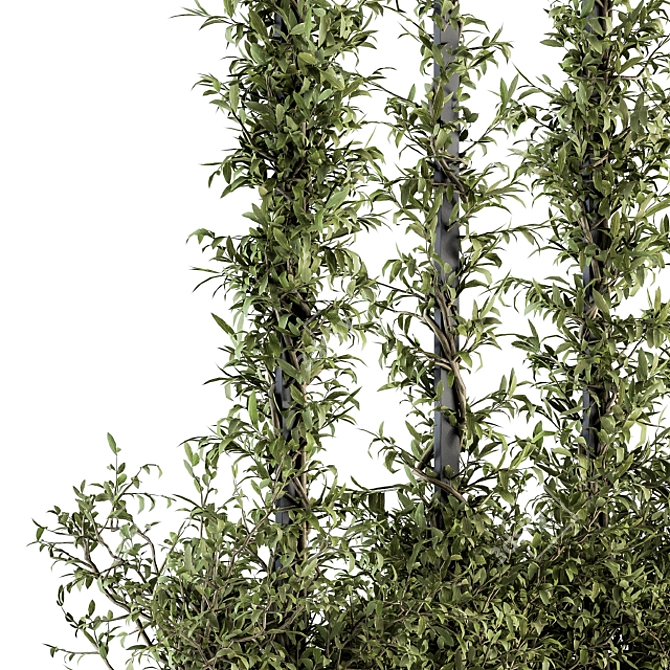 Outdoor Vertical Garden Frame: Fitowall 20 3D model image 2