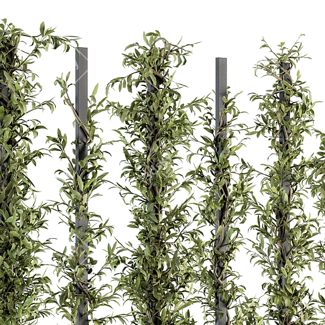 Outdoor Vertical Garden Frame: Fitowall 20 3D model image 4