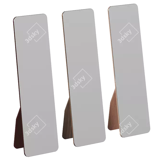  DIZY Modern Floor Mirror  3D model image 1